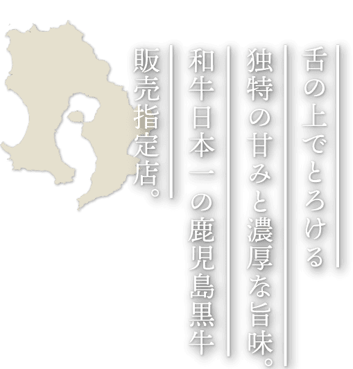 FVタイトル