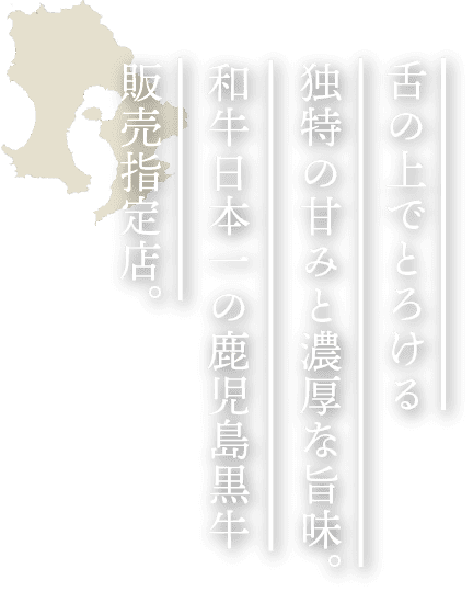 FVタイトル
